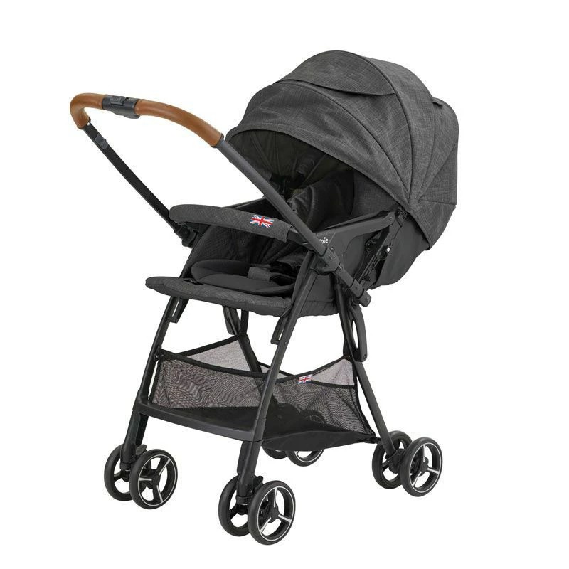 Joie SMA Baggi Lightweight Reversible Stroller – Pavement
